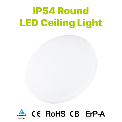 IP54 Round Ceiling Light 100 lm/W