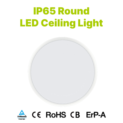 IP65 Round Ceiling Light 100 lm/W