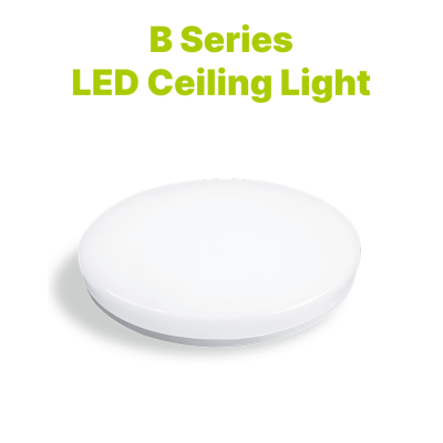 B Series Ceiling Light 160 lm/W